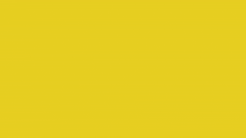 Art Video GIF by jorgemariozuleta