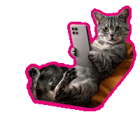 Date Night Cat Sticker by Deutsche Telekom