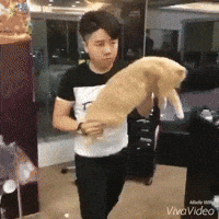 barber GIF