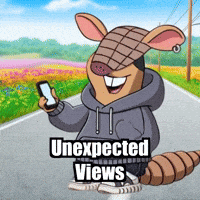 Road Trip Travel GIF by Chillo Dillo