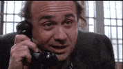 Arnold Schwarzenegger Phone GIF