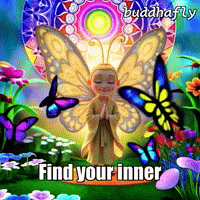 Butterfly Love GIF by BuddhaFlyJourney