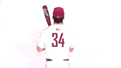 Baseball Roll Pards GIF by Lafayette Leopards