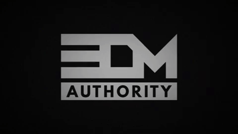 GIF by EDM Authority