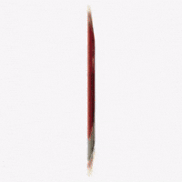 Lollapalooza Videographer GIF by Respective