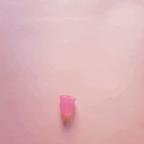 spring ruby cup GIF