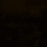 Numberi GIF