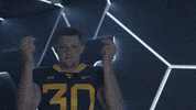 College Football GIF by WVU Sports