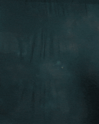 Major League Soccer Sport GIF by Timbers