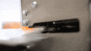 yamglutenvrij healthy lunch seal bread GIF