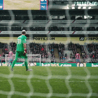 Premier League Football GIF by CPFC