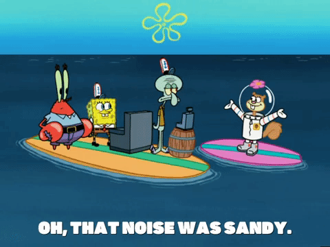 season 6 GIF by SpongeBob SquarePants