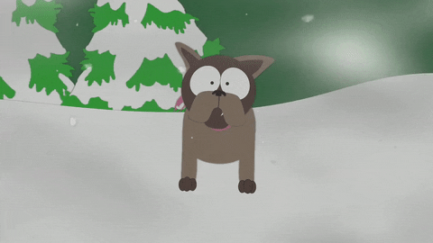 dog fog GIF by South Park 
