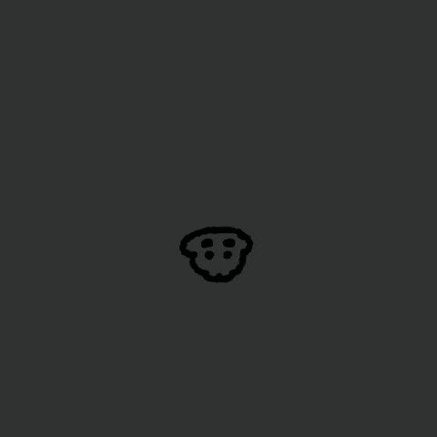 Cat Car GIF