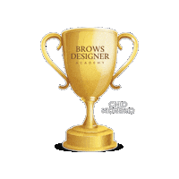 Beauty Brows Sticker by MasterChioMoreno