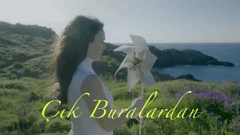 Nil GIF by hubcollage