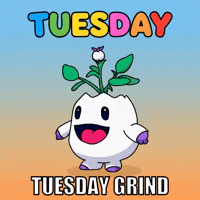 Monday Tuesday GIF by Magic Eden