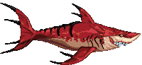 shark STICKER