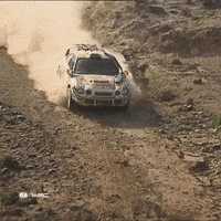 Splash Driving GIF by FIA World Rally Championship