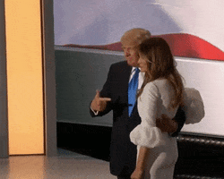 Donald Trump Rnc GIF by Election 2016