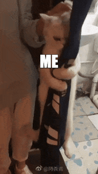 Meme gif. Woman attempts to pick up a cat, who is angrily holding onto a long curtain for dear life. The woman is labeled, "S-C-O-T-U-S," the cat is labeled, "Me," and the curtain is labeled, "Reproductive rights."