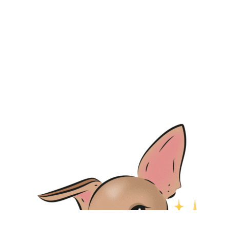sofiaromanazzo giphygifmaker charlie chihuahua carlottapagnotta Sticker