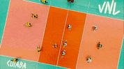 Brazil Hit GIF by Volleyball World