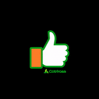 cotrirosa cotrirosa GIF