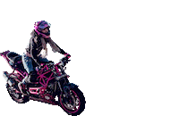 Motorcycle Stuntbike Sticker by Crazy Iron