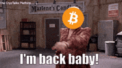 Crypto Bitcoin GIF by CrypTalks