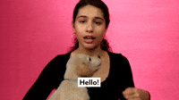 Hello