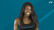 Honey Bee Dance GIF by Charlotte Hornets