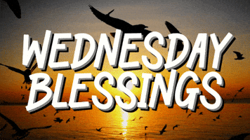 Wednesday Morning Water GIF by Sealed With A GIF