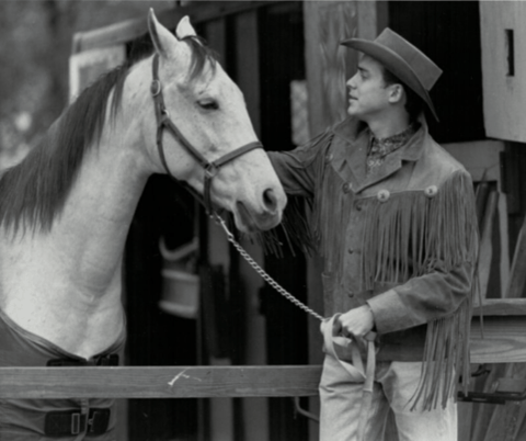 jamespaterek giphygifmaker giphyattribution GIF