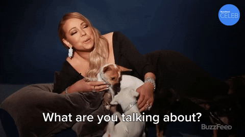 Santa Claus Christmas GIF by BuzzFeed