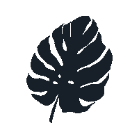 hfsah green leaves leave grean Sticker
