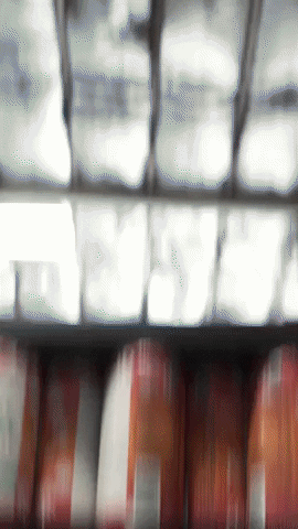GIF by JuneShine