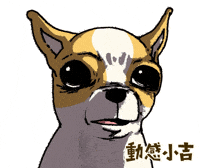 Animation Dog GIF