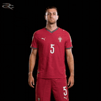 Cristiano Ronaldo Portugal GIF by Respective