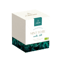 Mint To Be Menthe Sticker by Namsaa