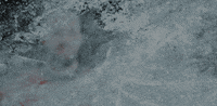 #koelnerhaie #torschuetze #del schÃ¼tz GIF by Kölner Haie
