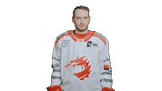 Trinec Sticker by HC Oceláři Třinec