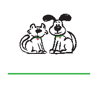 aMANdasBestFriend raleigh dogwalking amandacheney raleighdogwalking Sticker