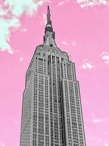 new york pink GIF by Tyler Resty