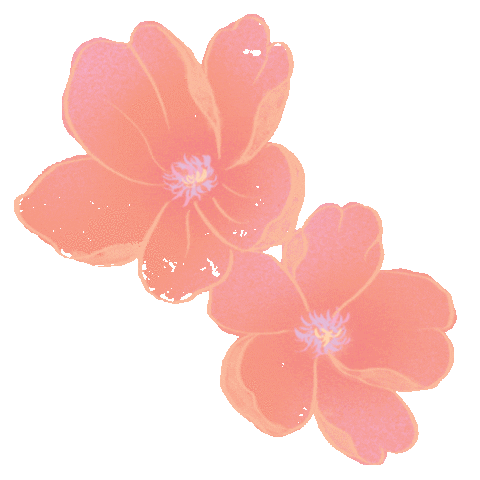 onerique_uy giphyupload beauty flower skincare Sticker