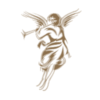 angel tequila Sticker by Jose Cuervo