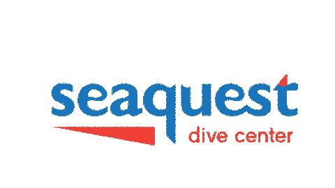Seaquest giphyupload ocean sea diving Sticker