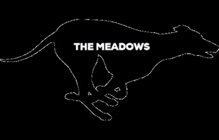 Dog Racing GIF by The Meadows (MGRA)