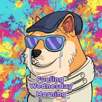 Shiba Inu Crying GIF by Doge Pound