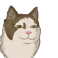 chushie chu afa afacha afachacha Sticker